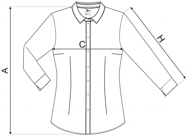 Bluzka damska z długim rękawem - tabela wymiarów